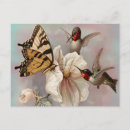 Search for butterfly postcards Flowers