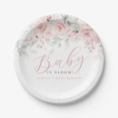 Search for blush plates Baby shower