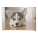 Search for corgi pillowcases Puppy