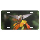 Search for mexican license plates Flowers
