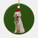 Search for golden retriever ornaments Xmas