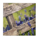 Search for texas wildflower tiles Meadow