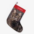 Search for tabby cat christmas stockings Modern