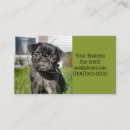 Search for pug business cards Puppy
