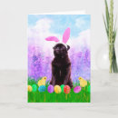 Search for pug easter cards Pet