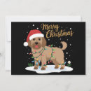 Search for labradoodle christmas cards Funny