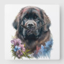 Search for large clocks Watercolor