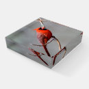 Search for red cardinal paperweight paperweights Nature