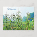 Search for madison wi postcards View