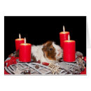Search for guinea pig cards Red
