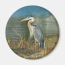 Search for great blue heron gifts Wildlife
