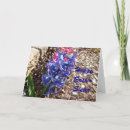 Search for christian sister cards Savior