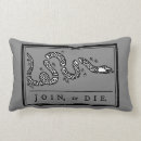 Search for americana pillows colonial