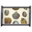 Search for seashell serving trays Coral