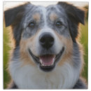 Search for pet cloths Pets