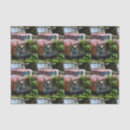 Search for red truck tissue paper Transportation