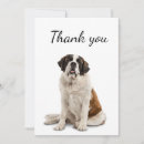 Search for pet thank you cards Thanks