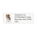 Search for beagle return address labels Cute