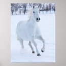 Search for white horse running posters Superstock