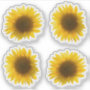 4+