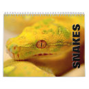 Search for snake calendars cobra