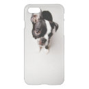 Search for boston terrier iphone cases Pets