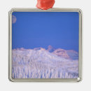 Search for full moon ornaments Forest