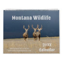 Search for bison calendars Elk