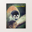 Search for monkey puzzles Wildlife
