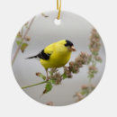 Search for victorian decorations ornaments Bird