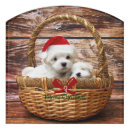 Search for cute dog door signs Dogs