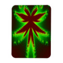 Search for dragonfly magnets Glowing