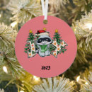 Search for raccoon ornaments Xmas