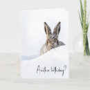 Search for winter birthday cards Wildlife