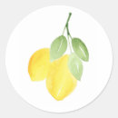 Search for lemon stickers Minimalist