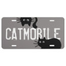 Search for cat plates Pets