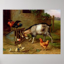 Search for vintage farm animal posters Bird