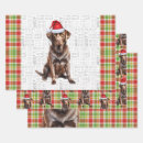 Search for chocolate lab wrapping paper Dogs