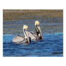 Search for st petersburg florida posters Beach