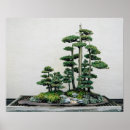 Search for bonsai posters Chinese