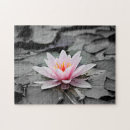 Search for lotus flower puzzles Waterlily