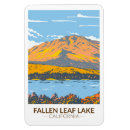 Search for fall leaf magnets Souvenir