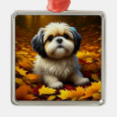Search for shih tzu ornaments Animals