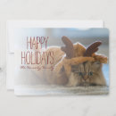 Search for costume cards Photography