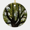 Search for weeping willow tree gifts Branches