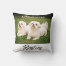 Search for pet photo pillows Modern chic script calligraphy
