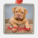 Search for new puppy gifts Red