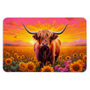 Search for cow magnets Sunflowers