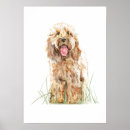 Search for cockapoo gifts Pet