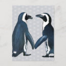 Search for penguin postcards Contemporary